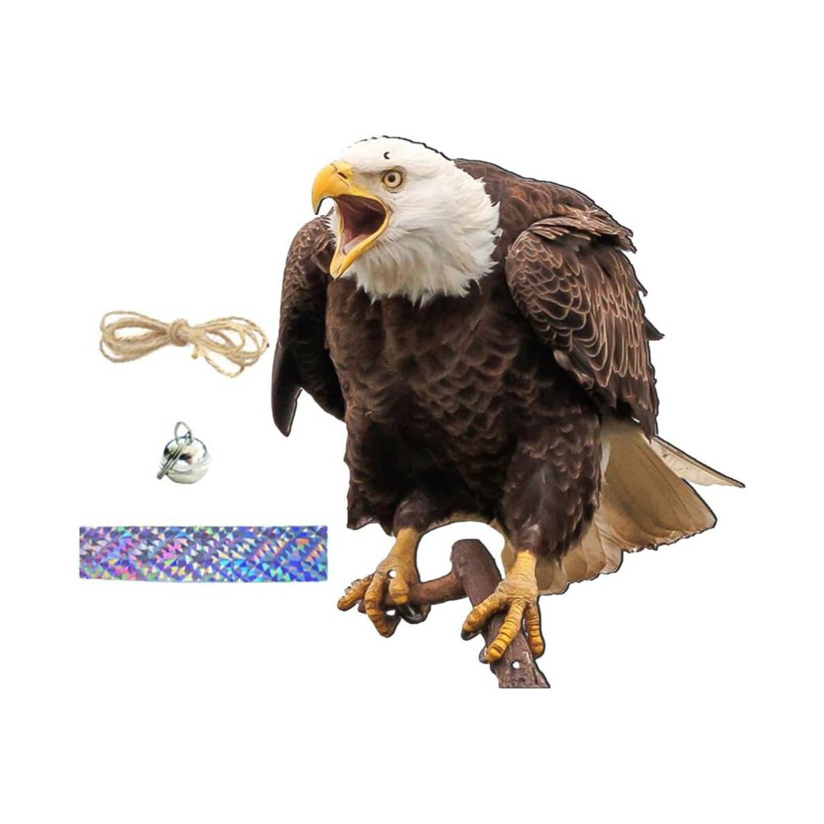 Águila Espantapájaros