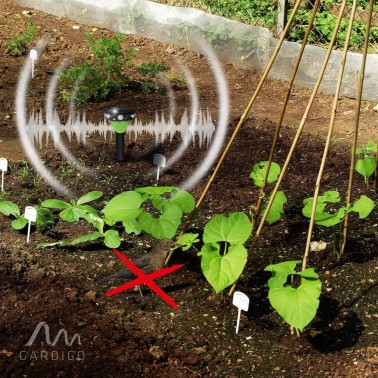 Répulsif Solaire pour Oiseaux – Son et Flash LED - Potager