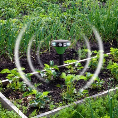 Répulsif Solaire pour Oiseaux – Son et Flash LED - Jardin