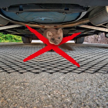Grille Répulsive pour Animaux Protection du Compartiment Moteur