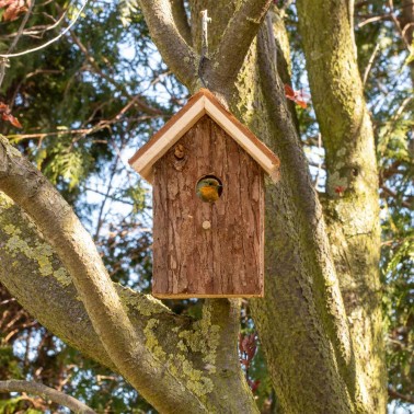 Maison pour Oiseaux "Nature" |  Refuge  pour les petits oiseaux dans votre jardin