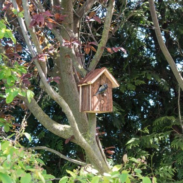 Maison pour Oiseaux "Nature" Gardigo