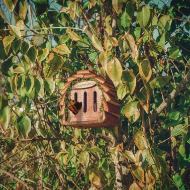 Maison pour Papillons Jardin