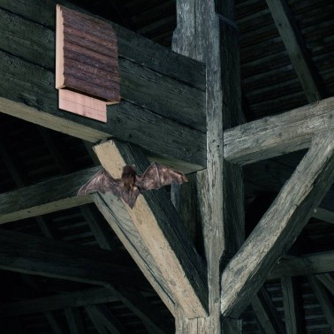 Maison pour Chauves-Souris