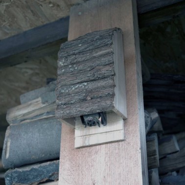 Refuge pour Chauves-Souris