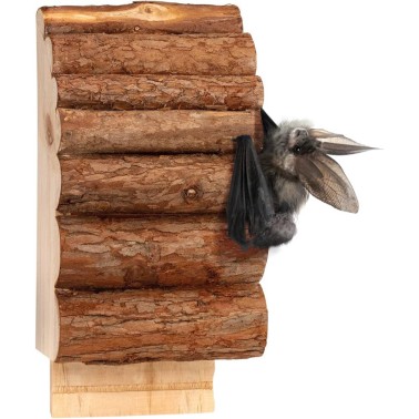 Maison pour Chauves-Souris