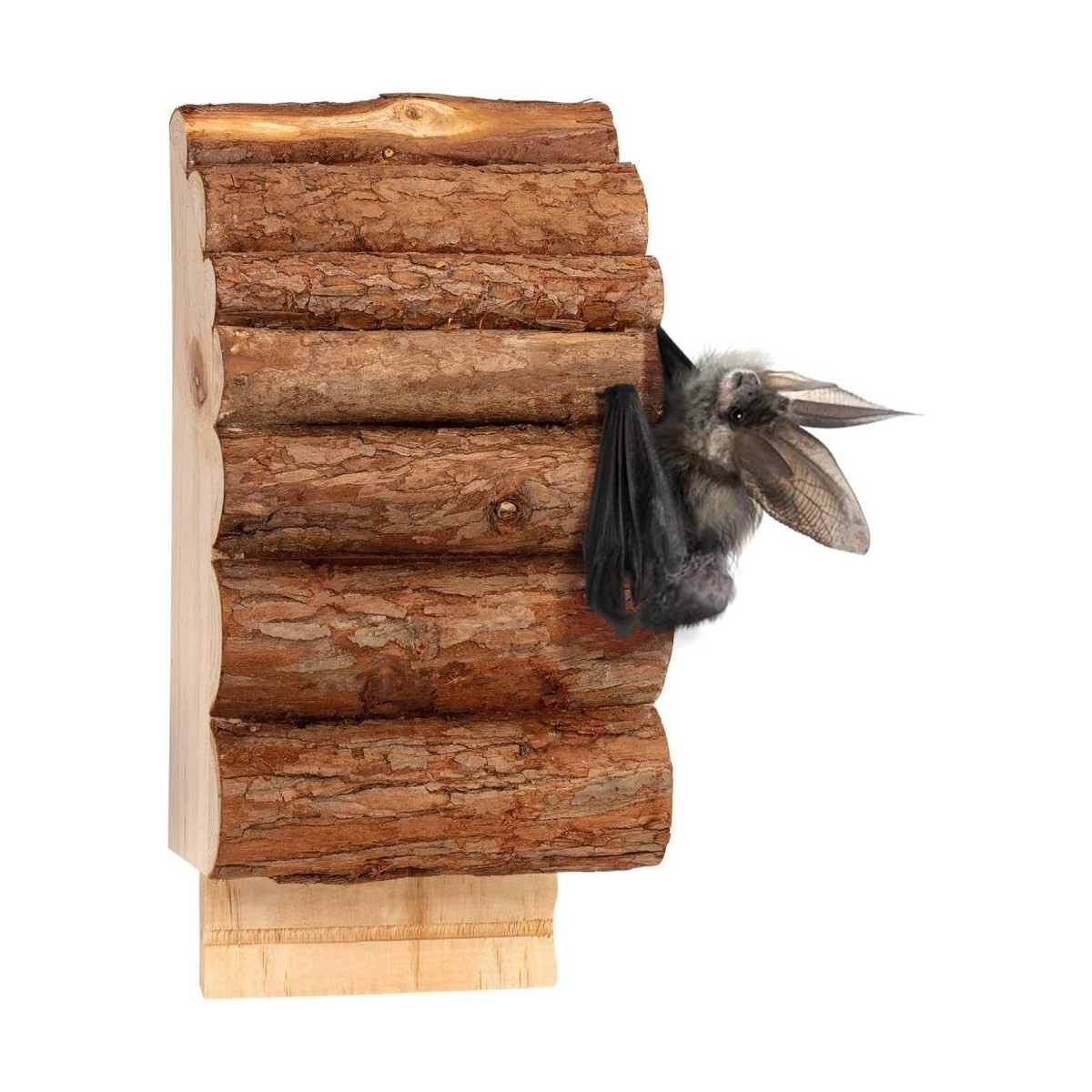 Maison pour Chauves-Souris