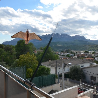 Épouvantail Faucon pour Balcon