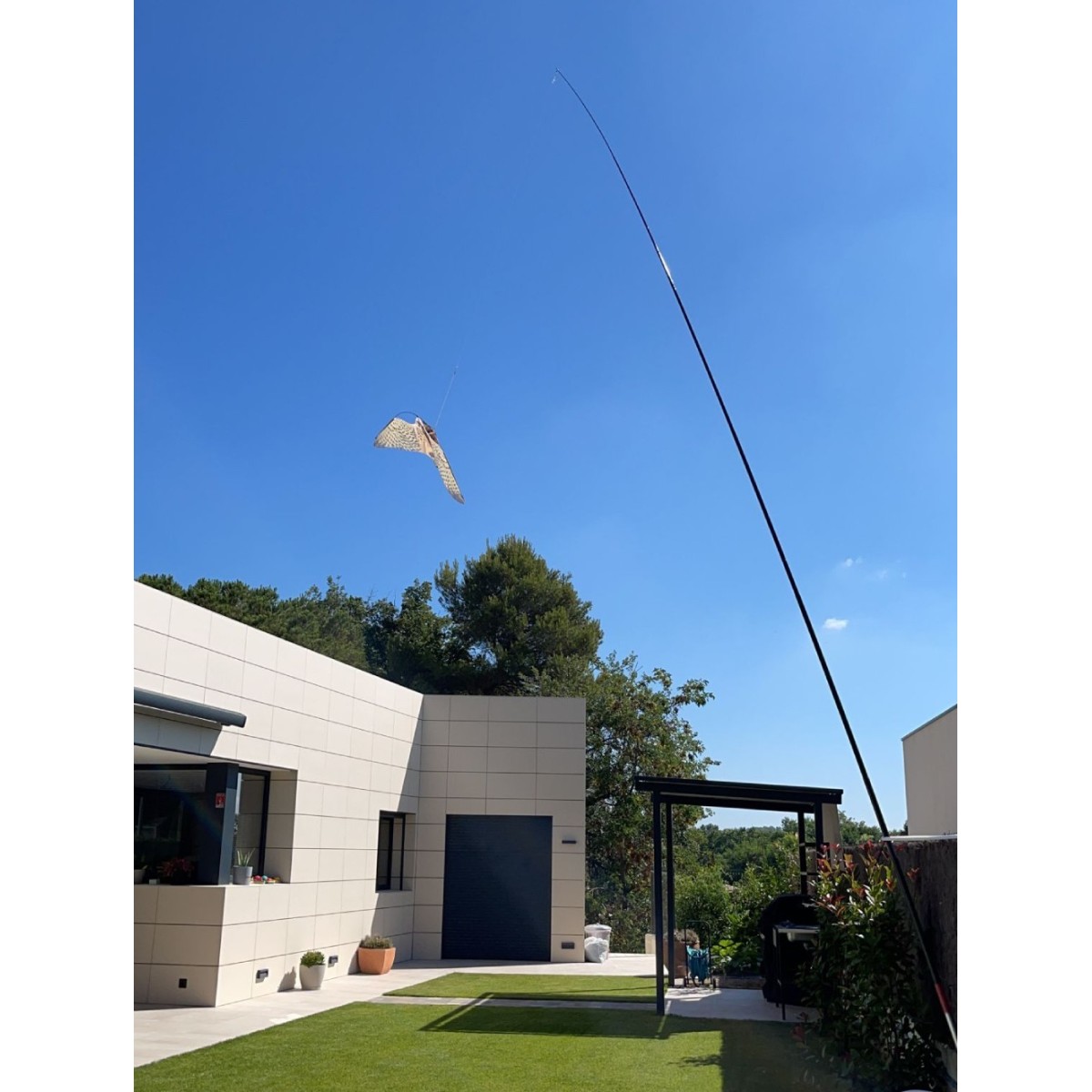 Cerf-volant Faucon Effaroucheur D'oiseaux - Protection Naturelle Pour Jardin Et Terrasse - 5 Mètres