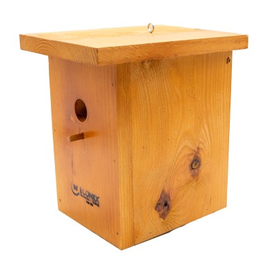 Nichoir pour Oiseaux Insectivores en Bois Massif