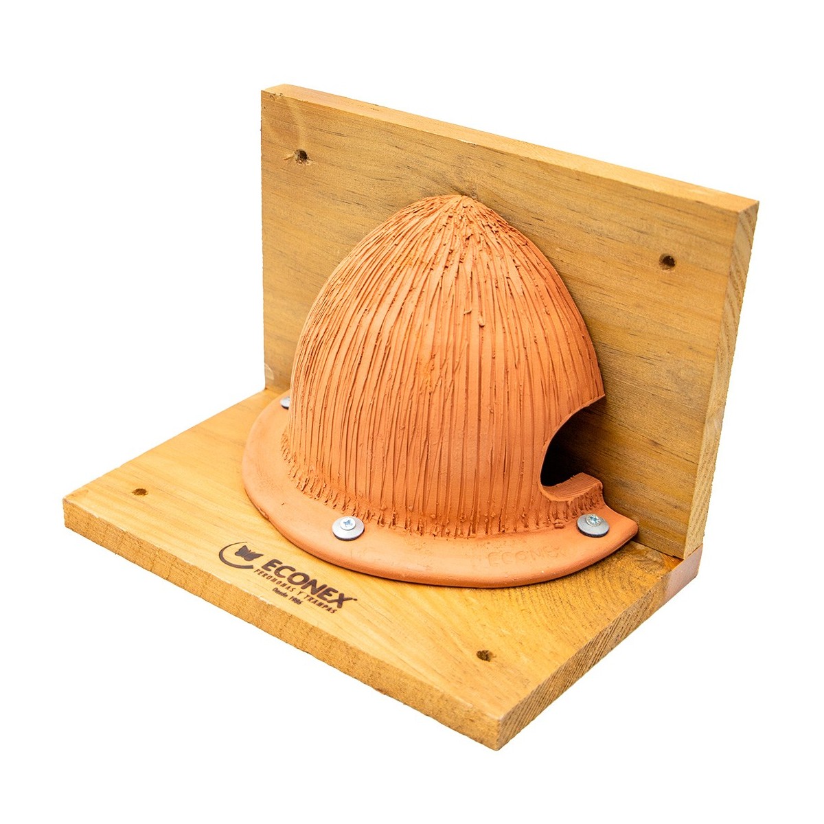 Refuge pour Hirondelle de Fenêtre