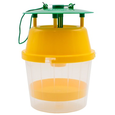 Piège pour Frelon Asiatique - VELUTINATRAP