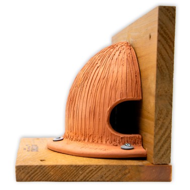 Refuge pour Hirondelle de Fenêtre