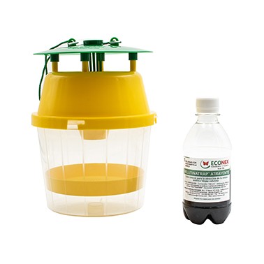 VELUTINATRAP KIT - Pièges et Attractifs pour Frelons Asiatiques