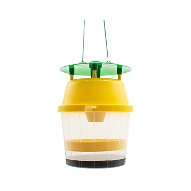 Piège pour Frelon Asiatique - VELUTINATRAP
