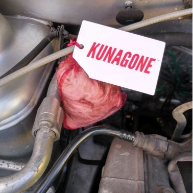 Répulsif Naturel pour Fouines – Kunagone | BirdGard Iberia