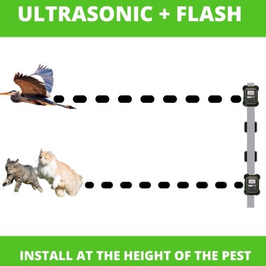 Garden Protector 4 avec Flash | Répulsif Ultrasonique pour Animaux