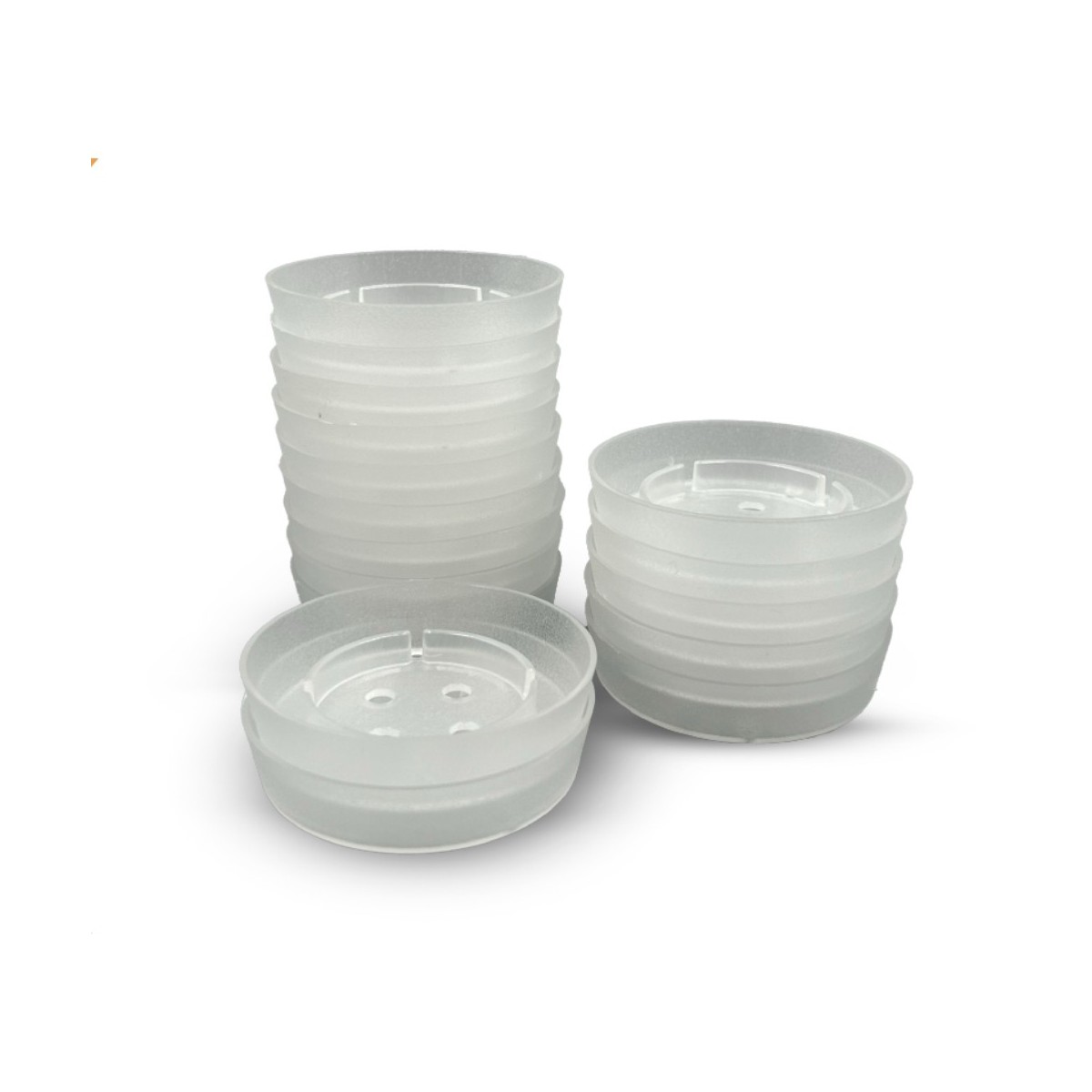 Pack 20 Coupelles pour Gel Répulsif Oiseaux | BirdGard Iberia