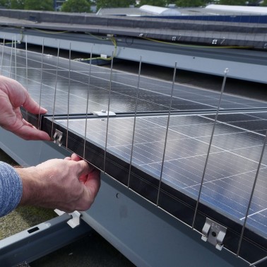 BirdBlocker BB-TopGuard | Anti-oiseaux Panneaux Solaires