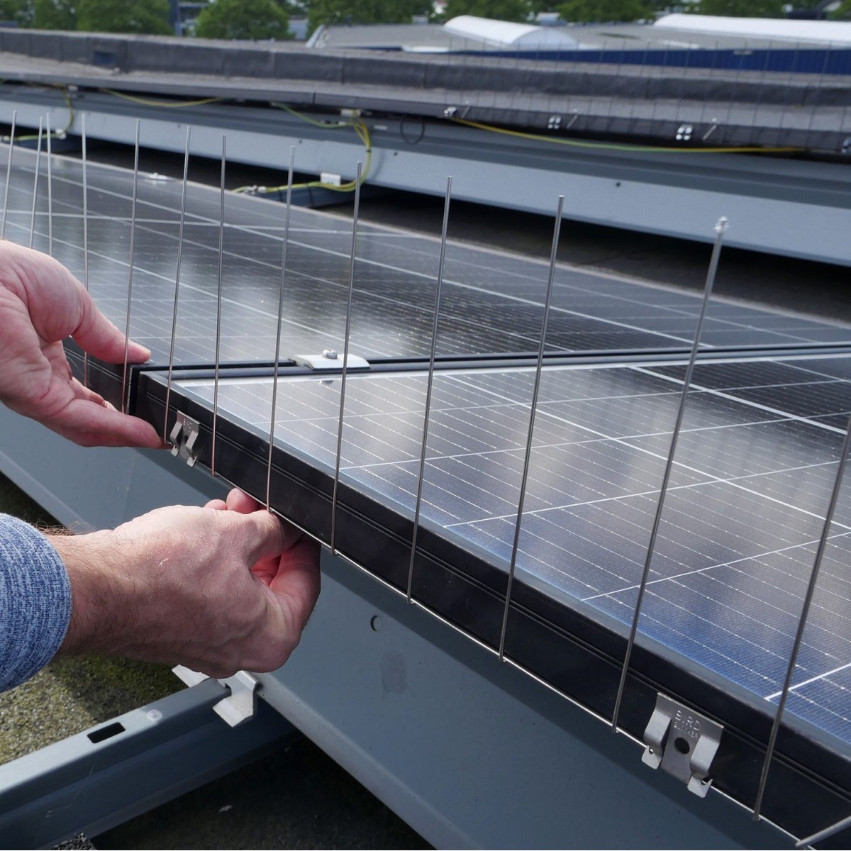 BirdBlocker BB-TopGuard | Anti-oiseaux Panneaux Solaires