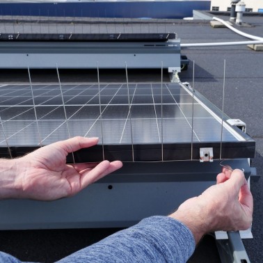 BirdBlocker BB-TopGuard | Anti-oiseaux Panneaux Solaires