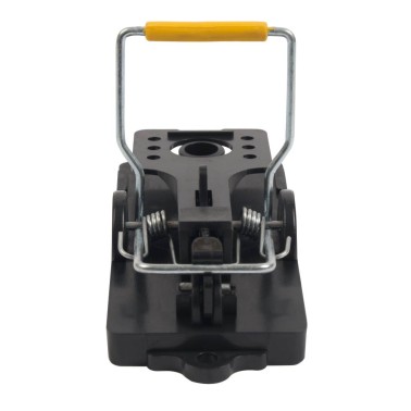 Pièges à Souris - Lot de 2