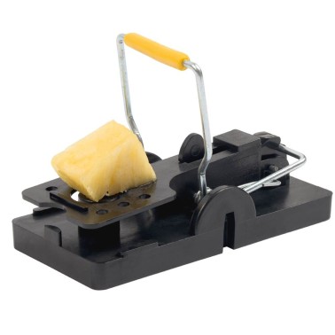 Pièges à Souris - Lot de 2