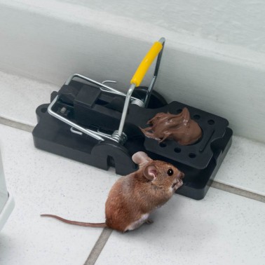 Pièges à Souris - Lot de 2