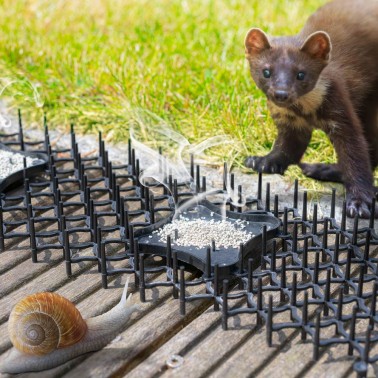 Tapis Anti-Chat