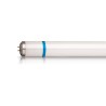 Tube anti-éclats - BL T8