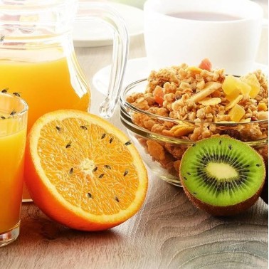 Piège à Mouches des Fruits