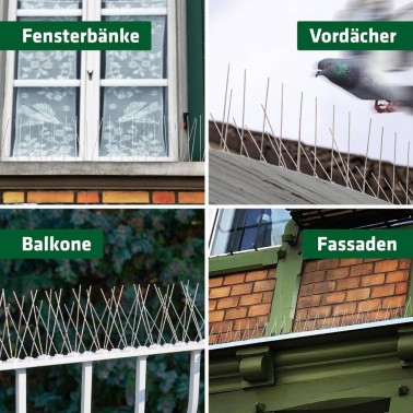 Pics Anti-Pigeons
