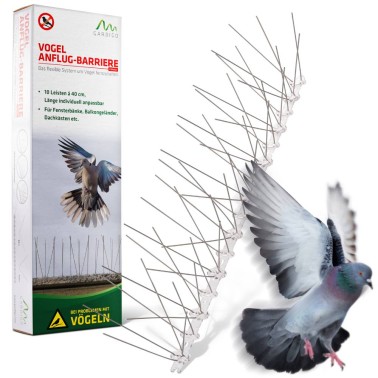 Pics Anti-Pigeons
