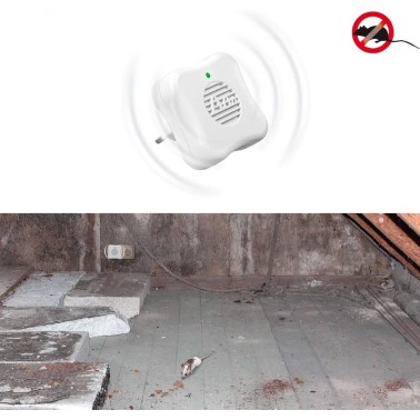 Prise Anti Souris