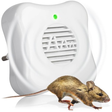 Prise Anti Souris