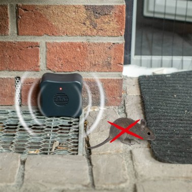 Répulsif Ultrason Anti Souris et Rats à Piles
