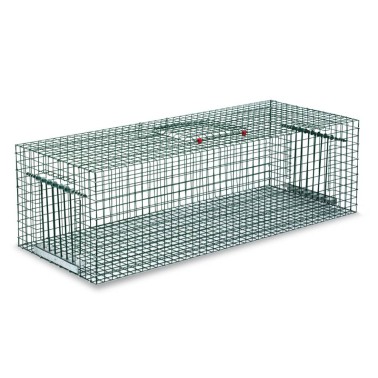 Jaula Trampa para Palomas - Rectangular