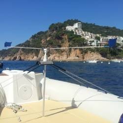 Anti-Oiseaux pour Bateaux