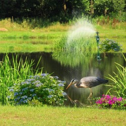 Effaroucheurs d'Animaux par Eau