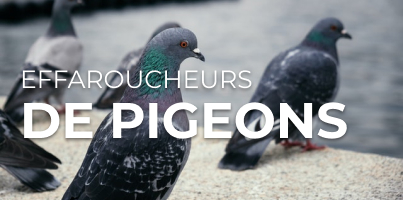 Répulsifs Pigeons